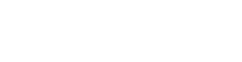 Quint 4x4 Reizen